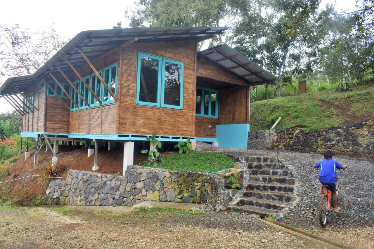 הוילה טוריאלבה Casa De Bambu מראה חיצוני תמונה