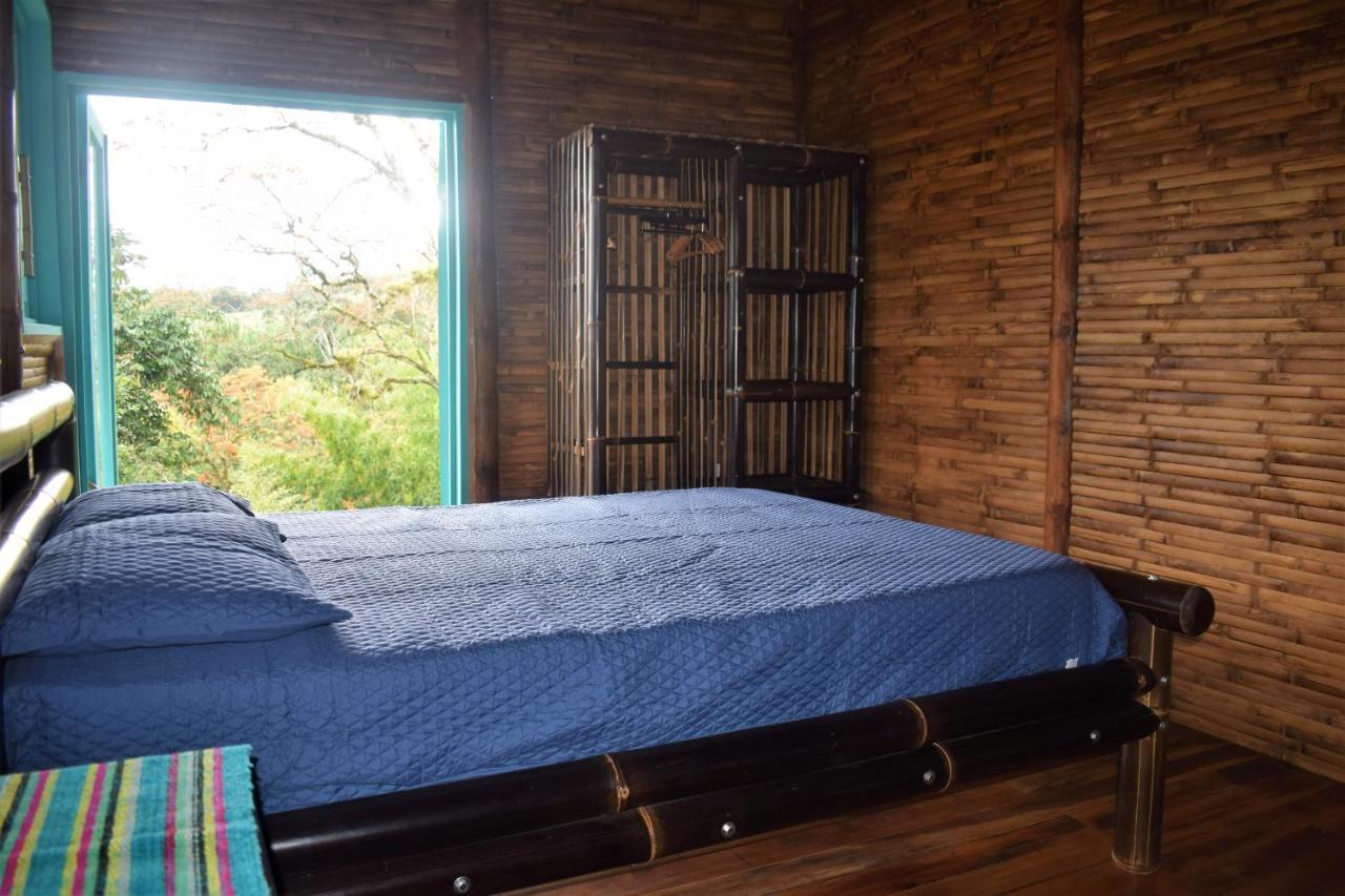 הוילה טוריאלבה Casa De Bambu מראה חיצוני תמונה