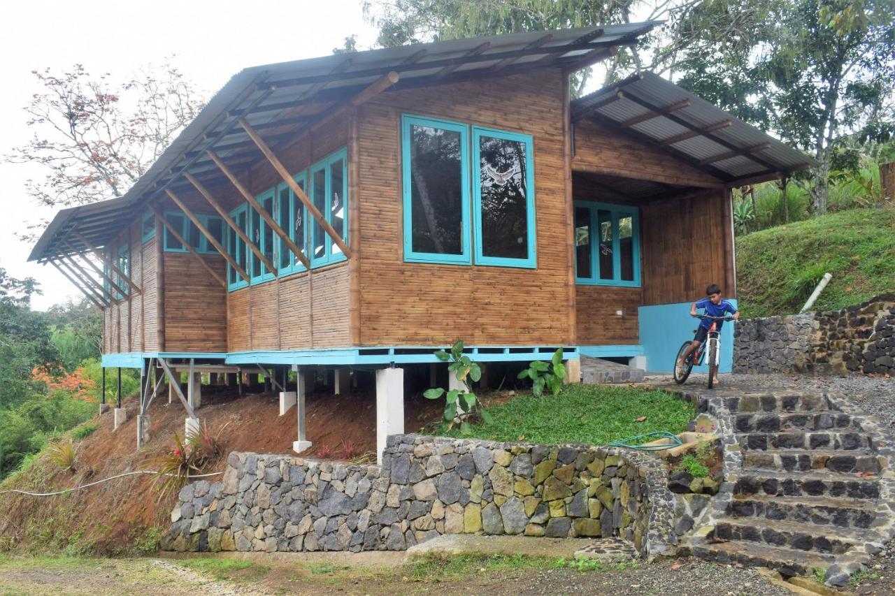 הוילה טוריאלבה Casa De Bambu מראה חיצוני תמונה