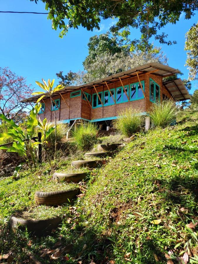 הוילה טוריאלבה Casa De Bambu מראה חיצוני תמונה